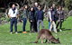 2-Day Kangaroo Island 4WD Small-Group Tour From Adelaide - thumb 8