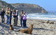 2-Day Kangaroo Island 4WD Small-Group Tour From Adelaide - thumb 5