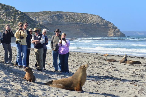 2-Day Kangaroo Island 4WD Small-Group Tour From Adelaide - Tourism Brisbane 5