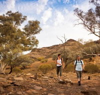 Flinders Ranges 3 Day 4WD Small Group Eco Tour from Adelaide - Tourism Brisbane
