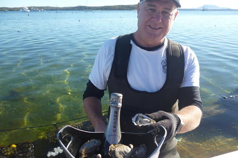 Coffin Bay Oyster Farm & Tasting Tour - Brisbane Tourism 0