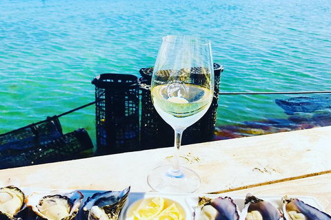 Coffin Bay Oyster Farm & Tasting Tour - Brisbane Tourism 11