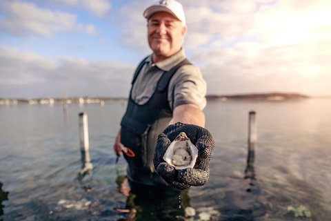 Coffin Bay Oyster Farm & Tasting Tour - Brisbane Tourism 3