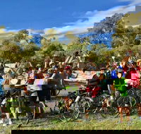 McLaren Vale Shiraz Trail Cycling Tour from Adelaide - Tourism Brisbane