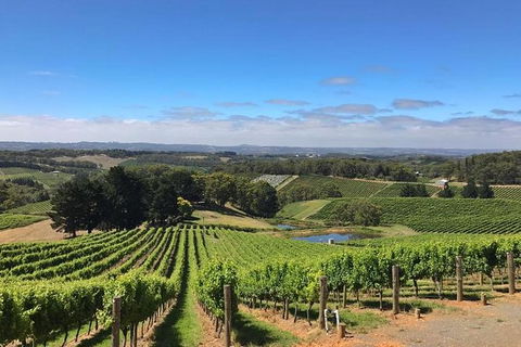 Small-Group Full-Day Adelaide Hills And Hahndorf Wine Tour From Adelaide - Tourism Brisbane 2