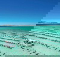 Coffin Bay Private Day Tour from Port Lincoln - A Taste of Coffin Bay - Brisbane Tourism