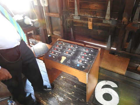 Adelaide Oval Stadium Tour - Tourism Brisbane 1