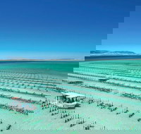 Coffin Bay Day Tour - A Taste of Coffin Bay - Brisbane Tourism