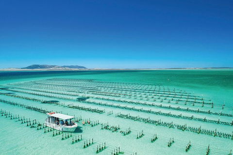 Coffin Bay Day Tour - A Taste Of Coffin Bay - Brisbane Tourism 0