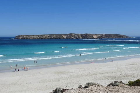 Coffin Bay Day Tour - A Taste Of Coffin Bay - Brisbane Tourism 12