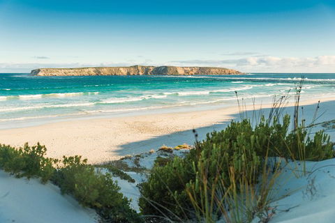 Coffin Bay Day Tour - A Taste Of Coffin Bay - Brisbane Tourism 13