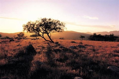 Adelaide To Coober Pedy 7 DAY SMALL GROUP 4WD SAFARI - Tourism Brisbane 0
