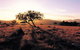 Adelaide To Coober Pedy 7 DAY SMALL GROUP 4WD SAFARI - thumb 4