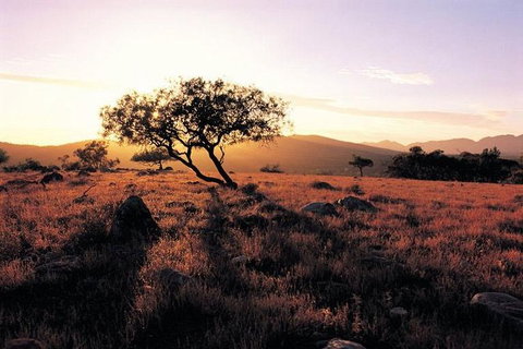 Adelaide To Coober Pedy 7 DAY SMALL GROUP 4WD SAFARI - Tourism Brisbane 4