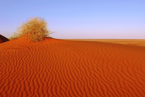 Adelaide To Coober Pedy 7 DAY SMALL GROUP 4WD SAFARI - Tourism Brisbane 3