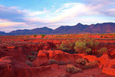 Adelaide To Coober Pedy 7 DAY SMALL GROUP 4WD SAFARI - Tourism Brisbane 7