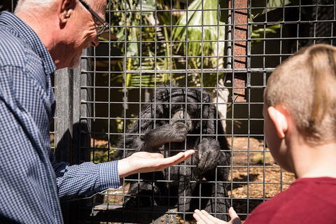 Adelaide Zoo Behind The Scenes Experience: Meet The Primates - Tourism Brisbane 1
