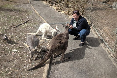 A Taste Of Adelaide And Hahndorf By Car Private Tour. - Tourism Brisbane 8