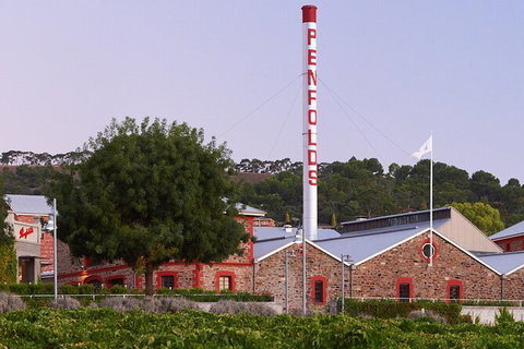 Ultimate Penfolds Magill Estate Experience - Brisbane Tourism 3