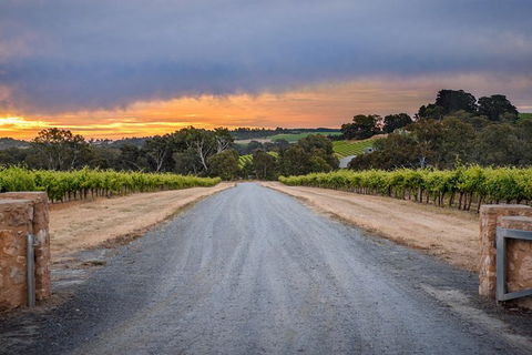 The Ultimate Shottesbrooke Wine & Food Experience - Tourism Brisbane 0