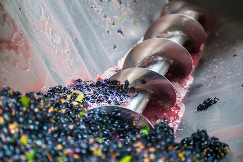 The Ultimate Shottesbrooke Wine & Food Experience - Tourism Brisbane 9
