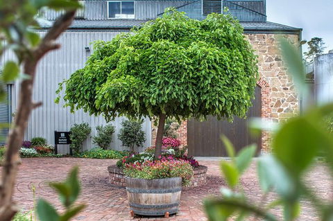 The Ultimate Shottesbrooke Wine & Food Experience - Tourism Brisbane 4