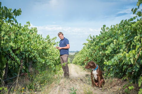 The Ultimate Shottesbrooke Wine & Food Experience - Tourism Brisbane 7