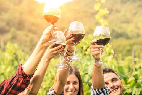 Adelaide Hills Day Tour. Winery Cellar Doors - Tourism Brisbane 6