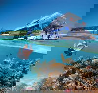 3-Day Southern Great Barrier Reef Tour Including Lady Musgrave Island - Brisbane Tourism