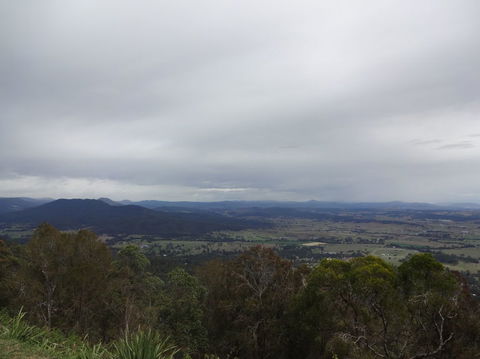 Springbrook AndTamborine Rainforest Tour Incl Natural Bridge And Glow Worm Cave - Tourism Brisbane 7