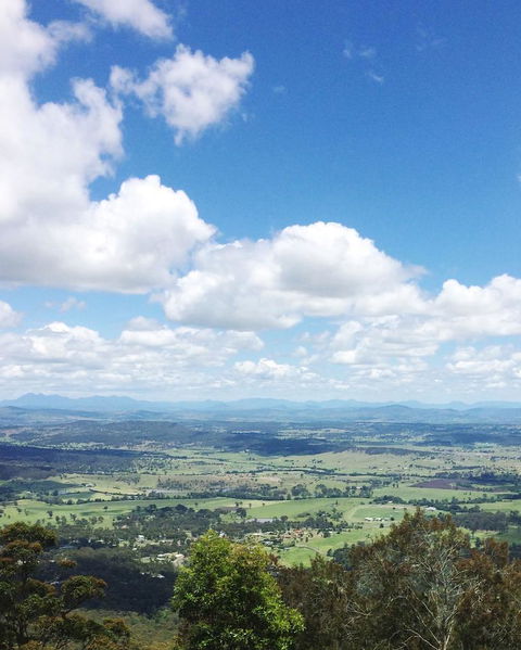 Springbrook AndTamborine Rainforest Tour Incl Natural Bridge And Glow Worm Cave - Tourism Brisbane 5
