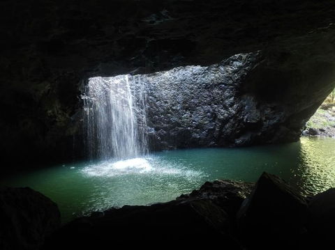 Springbrook AndTamborine Rainforest Tour Incl Natural Bridge And Glow Worm Cave - Tourism Brisbane 2