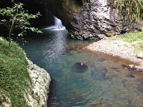 Springbrook AndTamborine Rainforest Tour Incl Natural Bridge And Glow Worm Cave - Tourism Brisbane 6