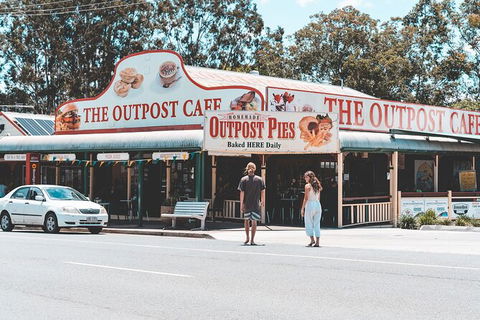 Springbrook AndTamborine Rainforest Tour Incl Natural Bridge And Glow Worm Cave - Tourism Brisbane 11