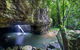 Springbrook AndTamborine Rainforest Tour Incl Natural Bridge And Glow Worm Cave - thumb 8