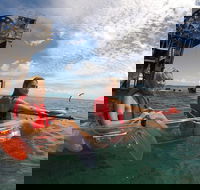 Moreton Island Day Trip Kayak Snorkel  Sandboard frm Brisbane or Gold Coast - Brisbane Tourism