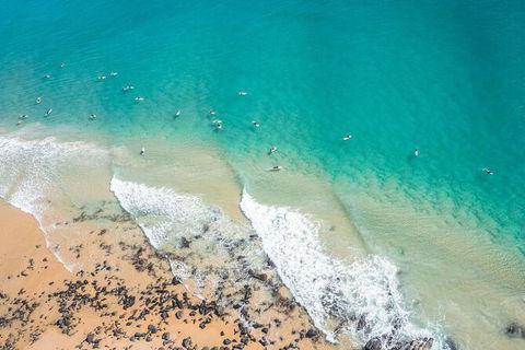 Sunshine Coast Hinterland And Noosa Day Trip From Brisbane Including Eumundi Markets And Ginger Factory - Tourism Brisbane 10