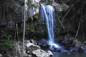 You Choose the Tour: Brisbane Private Chauffeur Driven Personal Tour