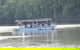 Daintree - Cape Tribulation & Atherton Tablelands Tours From Port Douglas - thumb 16