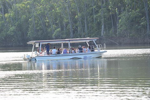 Daintree - Cape Tribulation & Atherton Tablelands Tours From Port Douglas - Tourism Brisbane 16