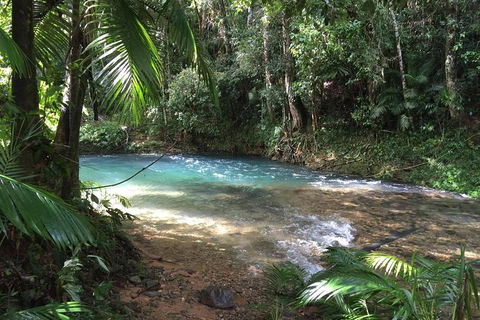 Daintree - Cape Tribulation & Atherton Tablelands Tours From Port Douglas - Tourism Brisbane 5