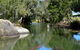 Daintree - Cape Tribulation & Atherton Tablelands Tours From Port Douglas - thumb 28