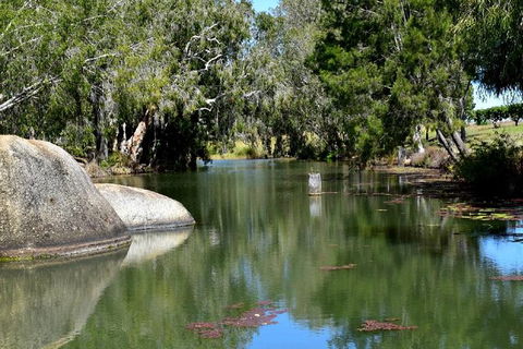 Daintree - Cape Tribulation & Atherton Tablelands Tours From Port Douglas - Tourism Brisbane 28