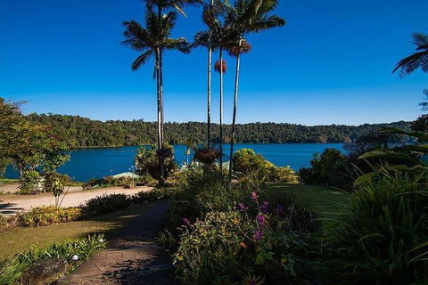 Daintree - Cape Tribulation & Atherton Tablelands Tours From Port Douglas - Tourism Brisbane 25