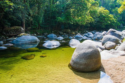 Daintree - Cape Tribulation & Atherton Tablelands Tours From Port Douglas - Tourism Brisbane 6