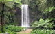 Daintree - Cape Tribulation & Atherton Tablelands Tours From Port Douglas - thumb 12