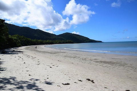 Daintree - Cape Tribulation & Atherton Tablelands Tours From Port Douglas - Tourism Brisbane 18
