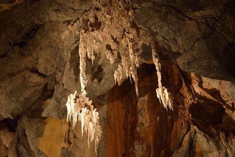 Daintree - Cape Tribulation & Atherton Tablelands Tours From Port Douglas - Tourism Brisbane 23