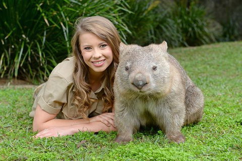 Small-Group Australia Zoo Day Trip From Brisbane - Tourism Brisbane 5