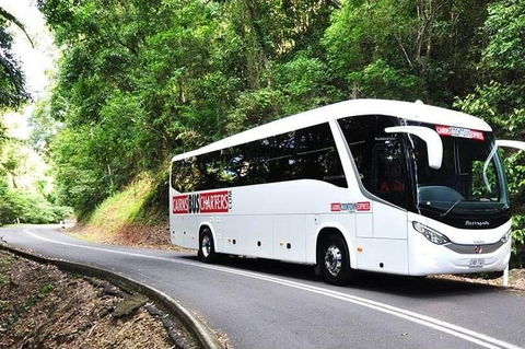 Palm Cove Departure Transfer - Palm Cove To Airport - Tourism Brisbane 1